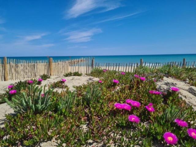 Вілла Maison Plein Pied Proximite Plage Et Commerce - 5Sir33 Ле-Баркарес Екстер'єр фото
